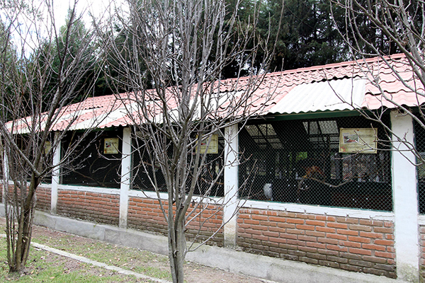 Pach Construcciones remodelará el parque Flor del Bosque