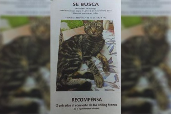 Ofrece recompensa por su gato perdido: entradas para los Rolling Stones