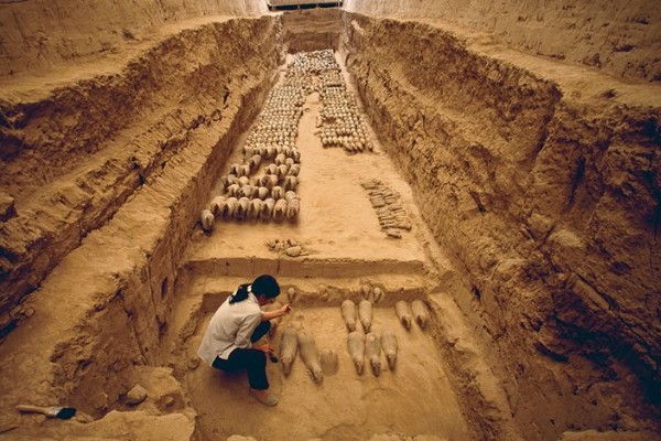 Descubierto el té más antiguo del mundo en China