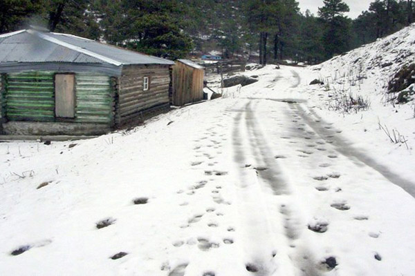 La Rosilla, Durango, registró 17 grados bajo cero