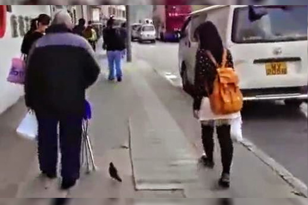 Hombre de 65 años recorre 5,000 kilómetros a pie