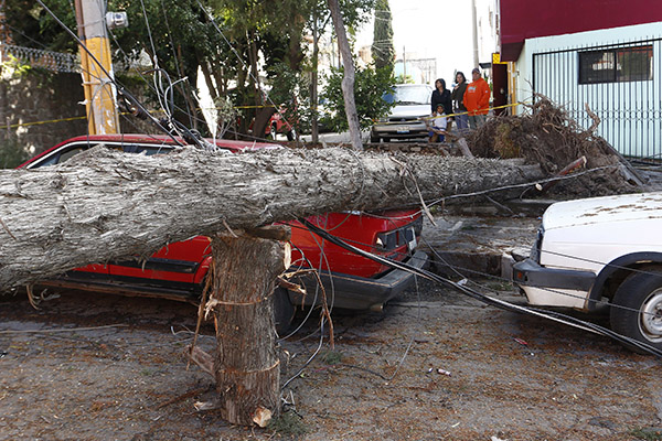 Clima adverso dejó 5 muertos y 35 lesionados, asegura Protección Civil