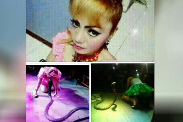 Cantante muere en pleno concierto tras ser mordida por una cobra