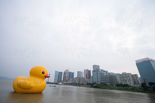 Pato de hule gigante visita Macao