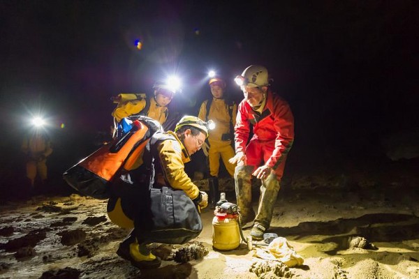 Hallan fósiles de pandas gigantes en la cueva más larga de China