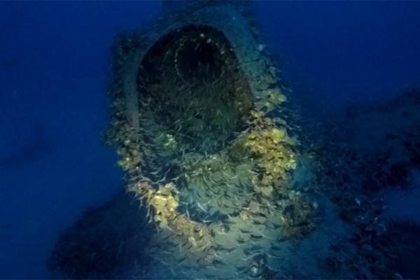 Hallan submarino de la IIGM con 71 cuerpos de su tripulación