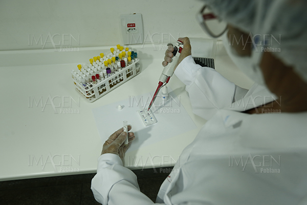 Secretaría de Salud reporta 143 casos nuevos de Zika