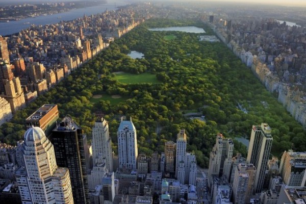 Un herido por explosión en Parque Central de Nueva York
