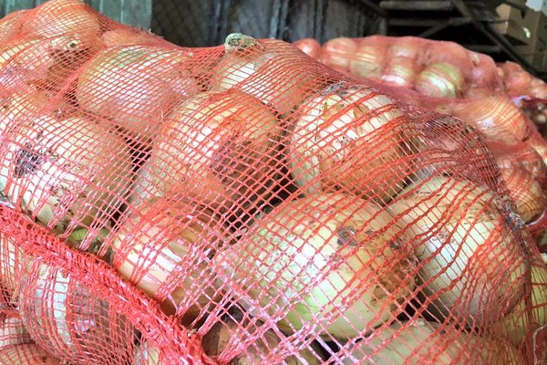 Policía española confisca 205 kilos de marihuana escondidos en cebollas