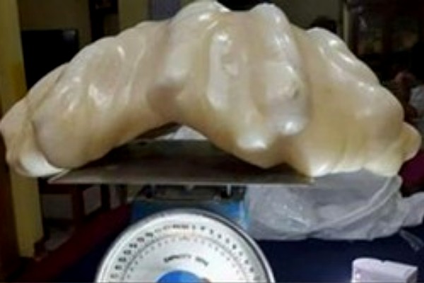 Filipinas busca reconocimiento de perla de 34 kilogramos de peso