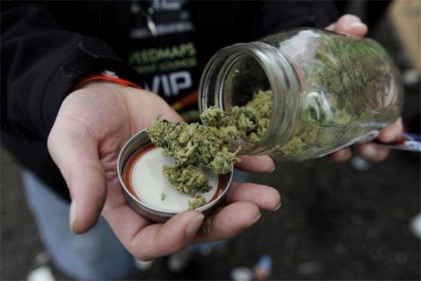 Crece simpatía por legalizar mariguana recreativa en California