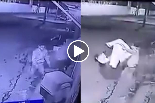 En México, hasta los perros son víctimas de la delincuencia