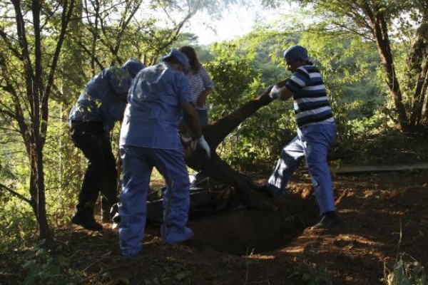 Exhuman más cuerpos de fosa clandestina de Zitlala, Guerrero