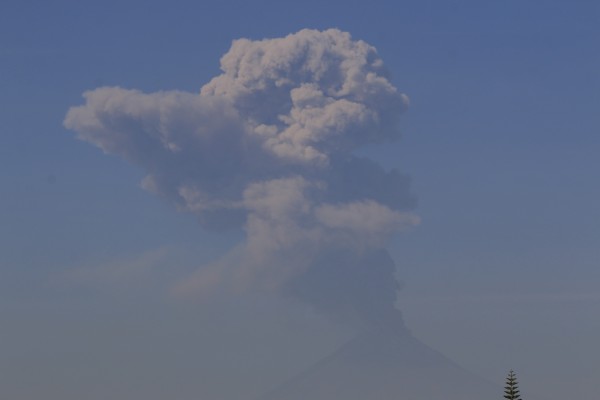 Popocatépetl emite fumarola continua con material incandescente