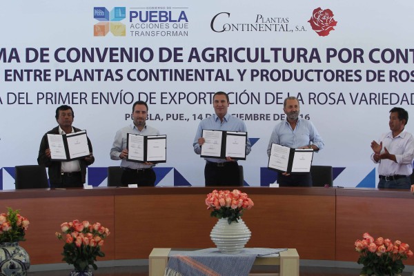 Atestigua Moreno Valle la primera exportación de rosa poblana