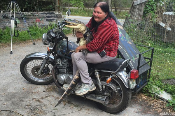 Mujer de Florida gana pleito legal para conservar a su cocodrilo como mascota
