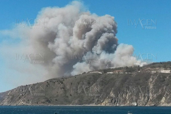 Afectan a Chile 77 incendios forestales