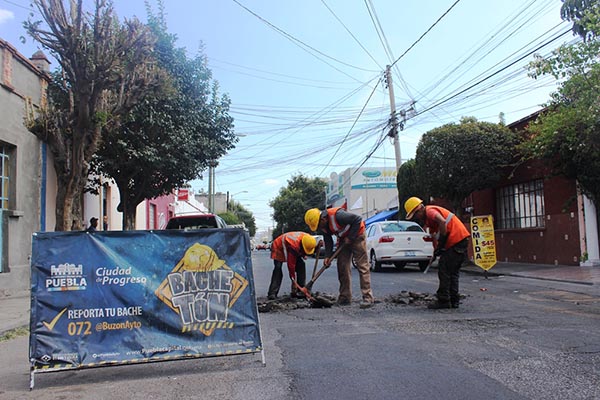 Brigadas de “Bachetón” trabajan día y noche para atender reportes