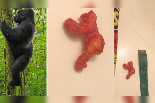 Subastan un cheeto parecido a un gorila… ¡en 100,000 dólares!