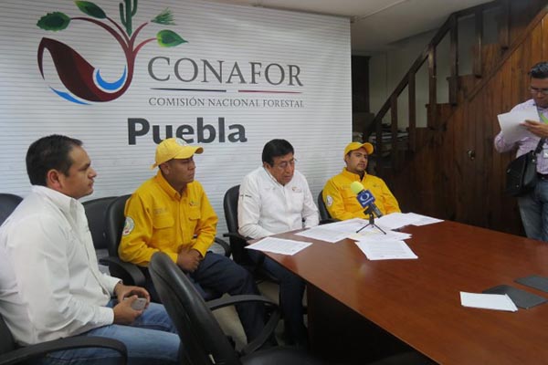 Aumenta 45 % incendios forestales en Puebla