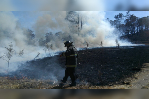 Bomberos efectúan labores en Operativo Pradera
