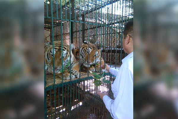 Continúa proceso contra “Club de los animalitos” hasta construcción de nuevo zoo