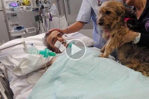 Septuagenario sale de coma gracias a la visita de su mascota