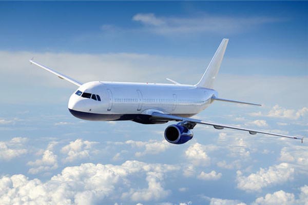 Sorprende pareja al tener relaciones sexuales en pleno vuelo