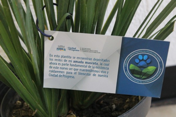 El Ayuntamiento ofrece nuevos servicios funerarios para mascotas