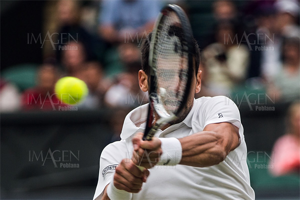 Novak Djokovic dice adiós a lo que resta de la temporada 2017