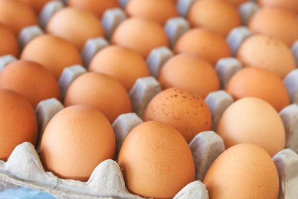 Escándalo de huevos contaminados llega a Francia