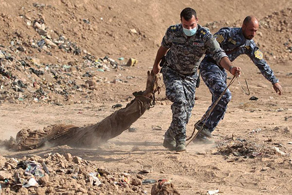 Ejército iraquí descubre 500 cuerpos en dos fosas comunes cerca de Mosul