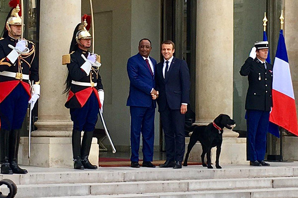 Macron adopta un perro, en seguimiento a tradición presidencial francesa