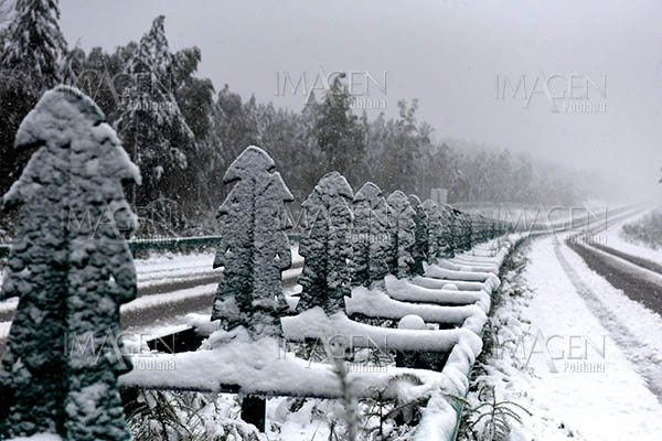 Extraña nevada en agosto altera la vida en región septentrional china