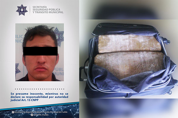 Can policía descubrió a sujeto con 23 kilos de marihuana