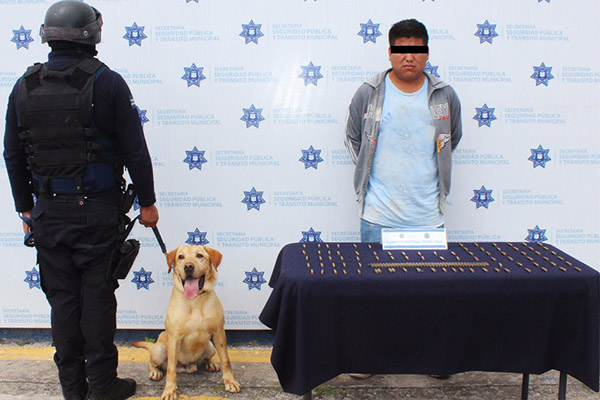 Asegurados más de un centenar de cartuchos