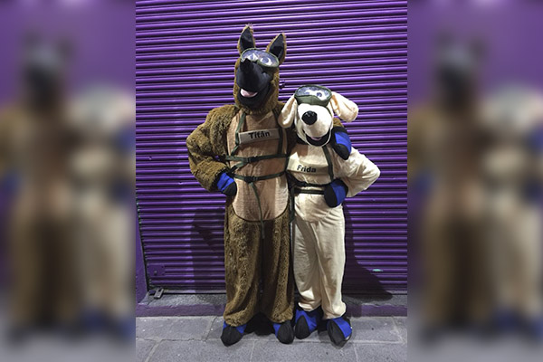 Convierten a perros rescatistas Frida y Titán en disfraz de Halloween