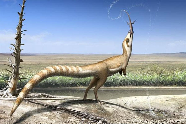 Científicos hallan evidencia de dinosaurio chino emplumado