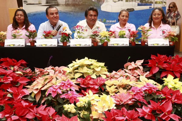 Puebla es tercer lugar en producción de flor de Nochebuena