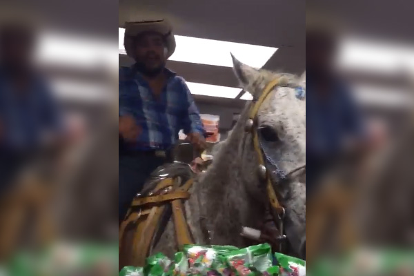 Se metió con todo y caballo a comprar cervezas a un Oxxo