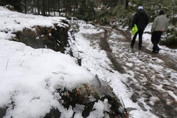 Varios estados tendrán temperaturas inferiores a 5.0 grados