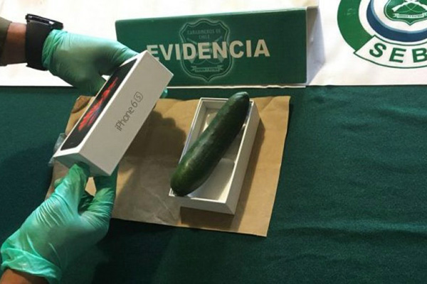 Esperaba un iPhone y en su lugar… ¡recibió un pepino!