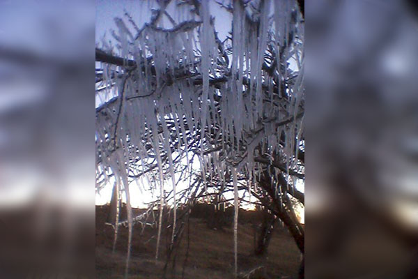 Hoy es el día más frío en lo que va del año; Ciudad Serdán llegó a -7 grados