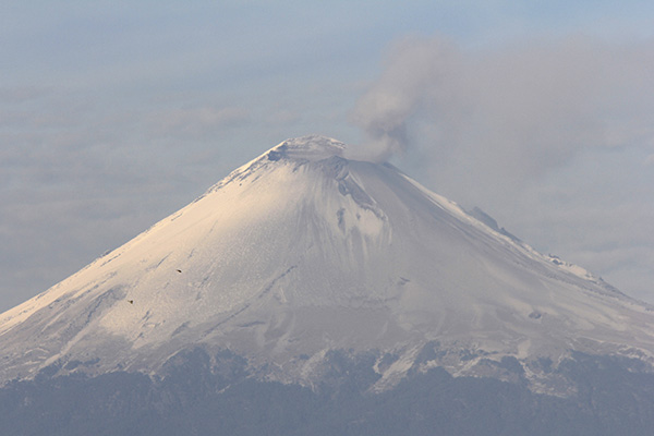 Popocatépetl registra explosión que alcanza columna de 1.2 kilómetros