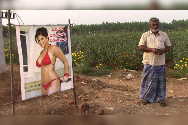 Más efectivo que un espantapájaros: foto de estrella porno