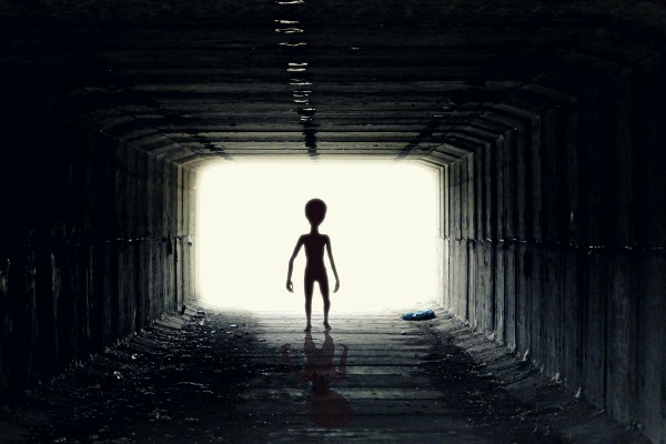 Fuera de este mundo: un artista imagina la vida extraterrestre