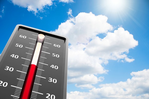 Shanghai: registran temperatura alta récord en 86 años