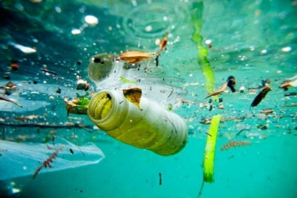 Un buceador se sumerge en un mar de basura