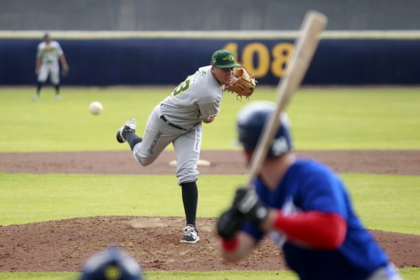Pericos de Puebla pasan inadvertidos para la afición