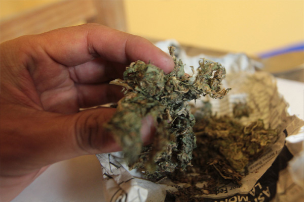 A América Latina le conviene la legalización de la droga: CEPAL